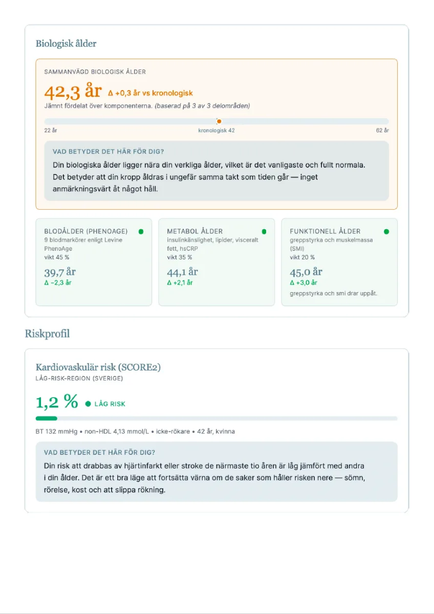 Exempel ur hälsorapport från Vitala Premium — metabol status och hjärt-kärlriskprofil